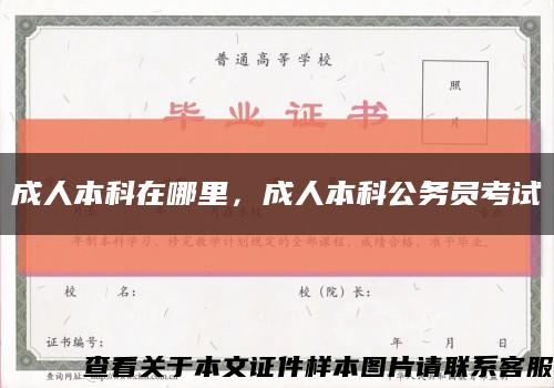 成人本科在哪里，成人本科公务员考试缩略图