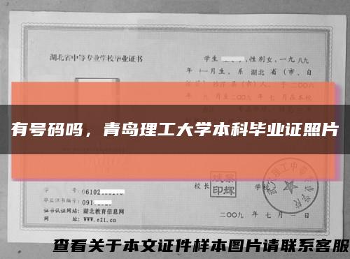 有号码吗，青岛理工大学本科毕业证照片缩略图