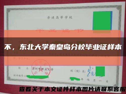 不，东北大学秦皇岛分校毕业证样本缩略图