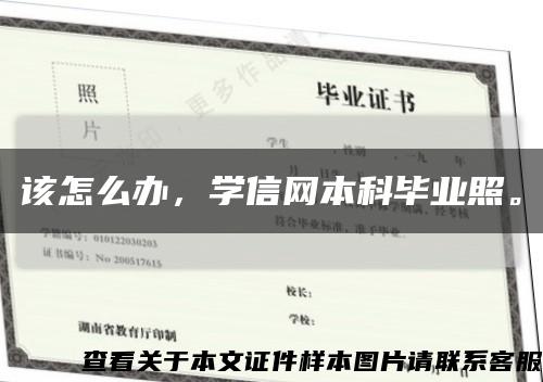 该怎么办，学信网本科毕业照。缩略图