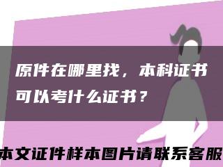 原件在哪里找，本科证书可以考什么证书？缩略图