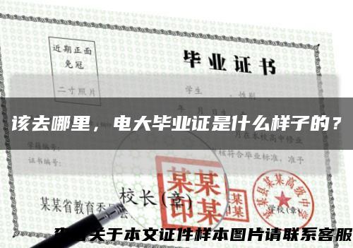 该去哪里，电大毕业证是什么样子的？缩略图