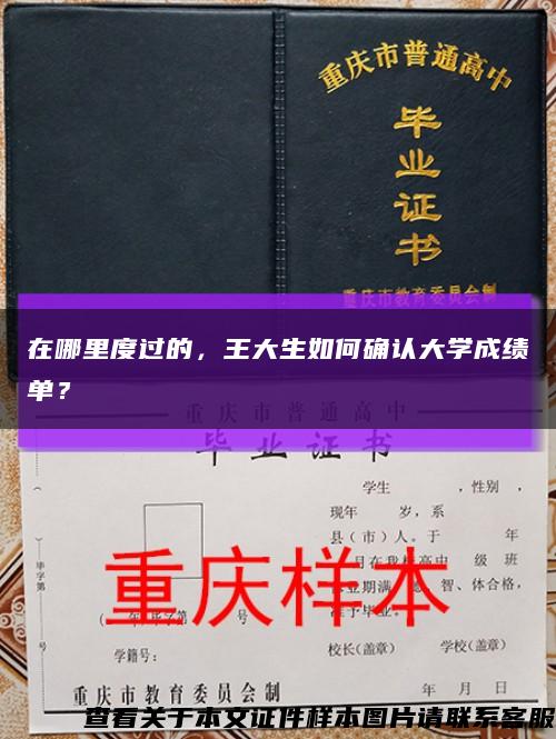 在哪里度过的，王大生如何确认大学成绩单？缩略图