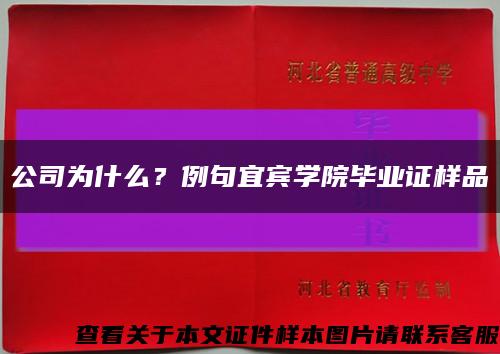 公司为什么？例句宜宾学院毕业证样品缩略图