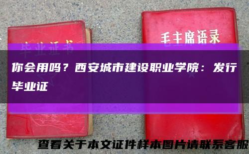 你会用吗？西安城市建设职业学院：发行毕业证缩略图