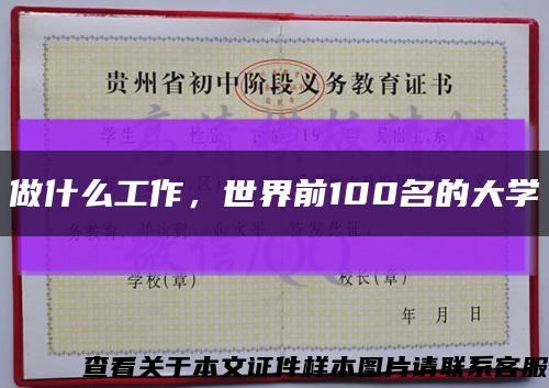 做什么工作，世界前100名的大学缩略图