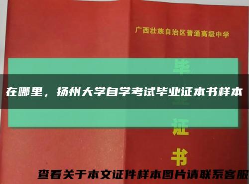 在哪里，扬州大学自学考试毕业证本书样本缩略图