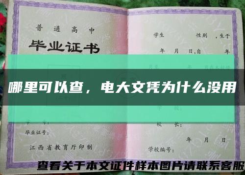 哪里可以查，电大文凭为什么没用缩略图