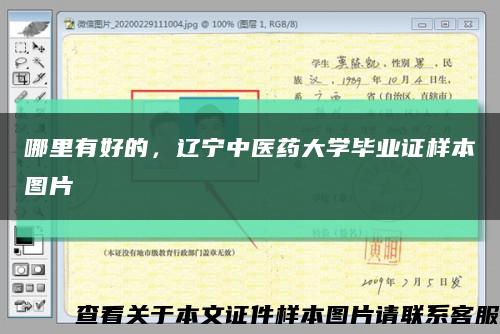 哪里有好的，辽宁中医药大学毕业证样本图片缩略图