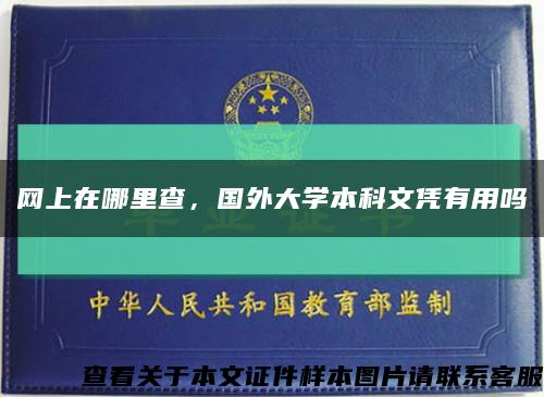 网上在哪里查，国外大学本科文凭有用吗缩略图