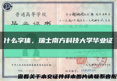 什么字体，瑞士南方科技大学毕业证缩略图