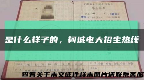 是什么样子的，柯城电大招生热线缩略图