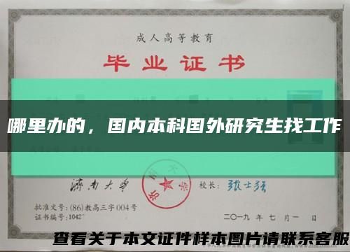 哪里办的，国内本科国外研究生找工作缩略图