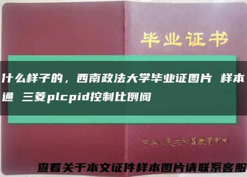 什么样子的，西南政法大学毕业证图片 样本通 三菱plcpid控制比例阀缩略图