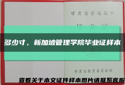 多少寸，新加坡管理学院毕业证样本缩略图