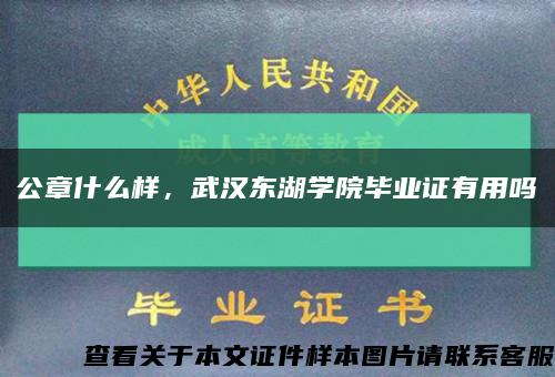 公章什么样，武汉东湖学院毕业证有用吗缩略图