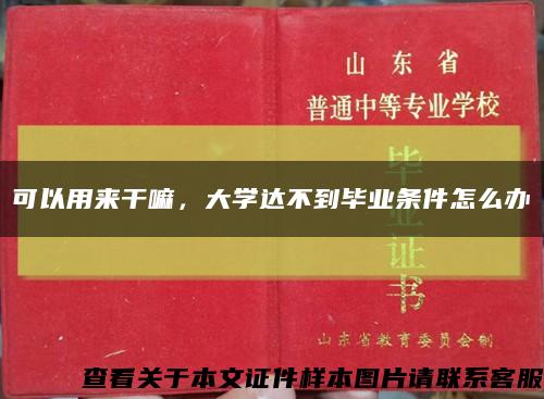 可以用来干嘛，大学达不到毕业条件怎么办缩略图