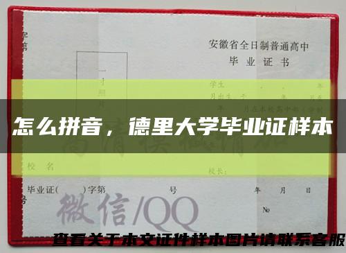 怎么拼音，德里大学毕业证样本缩略图