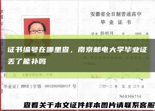 证书编号在哪里查，南京邮电大学毕业证丢了能补吗缩略图