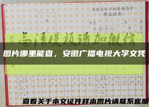 图片哪里能查，安徽广播电视大学文凭缩略图