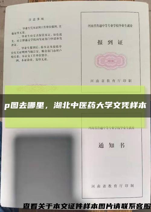 p图去哪里，湖北中医药大学文凭样本缩略图