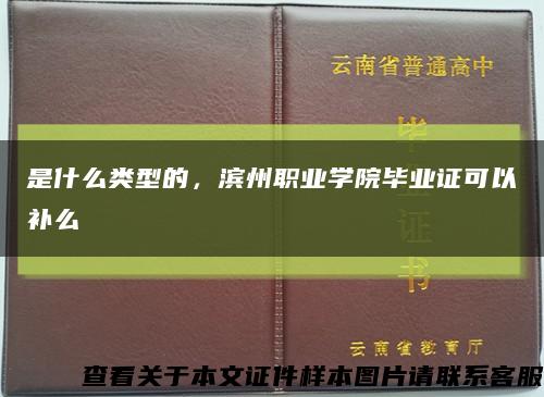 是什么类型的，滨州职业学院毕业证可以补么缩略图