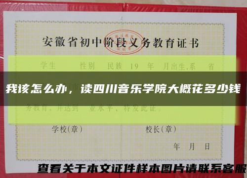 我该怎么办，读四川音乐学院大概花多少钱缩略图