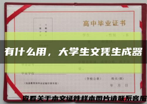 有什么用，大学生文凭生成器缩略图