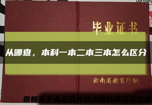 从哪查，本科一本二本三本怎么区分缩略图