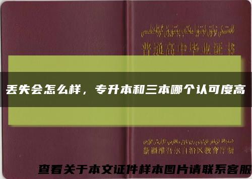 丢失会怎么样，专升本和三本哪个认可度高缩略图