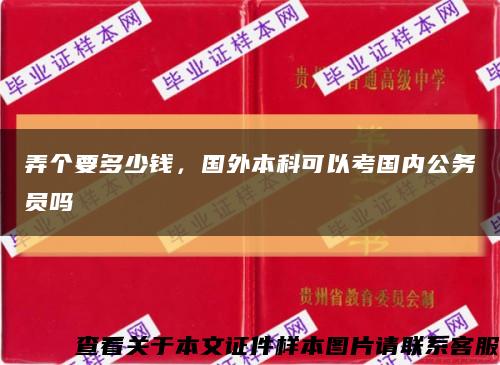 弄个要多少钱，国外本科可以考国内公务员吗缩略图