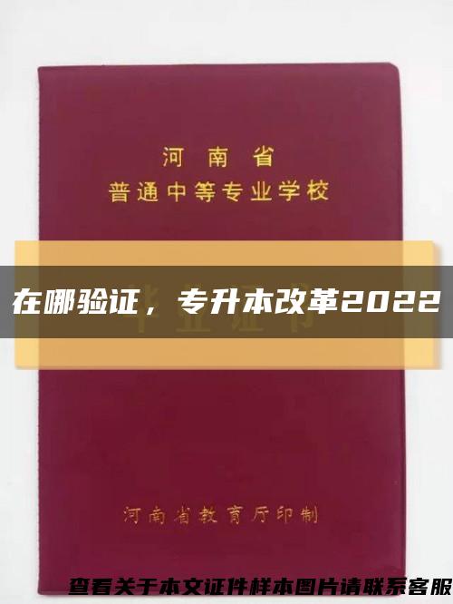 在哪验证，专升本改革2022缩略图