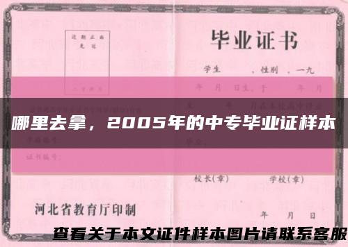 哪里去拿，2005年的中专毕业证样本缩略图