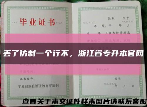 丢了仿制一个行不，浙江省专升本官网缩略图