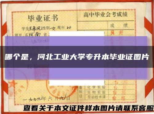 哪个是，河北工业大学专升本毕业证图片缩略图