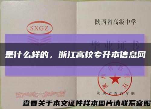 是什么样的，浙江高校专升本信息网缩略图