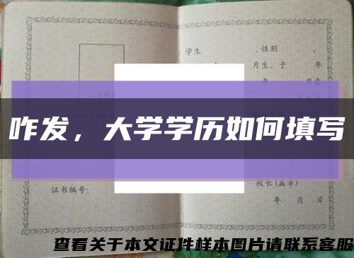 咋发，大学学历如何填写缩略图