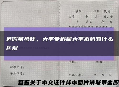 造假多少钱，大学专科和大学本科有什么区别缩略图