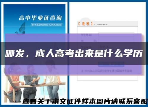 哪发，成人高考出来是什么学历缩略图