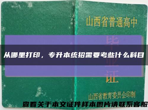 从哪里打印，专升本统招需要考些什么科目缩略图