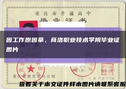 因工作原因拿，商洛职业技术学院毕业证图片缩略图