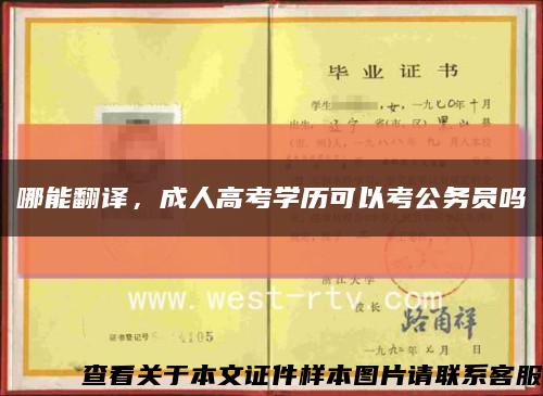 哪能翻译，成人高考学历可以考公务员吗缩略图