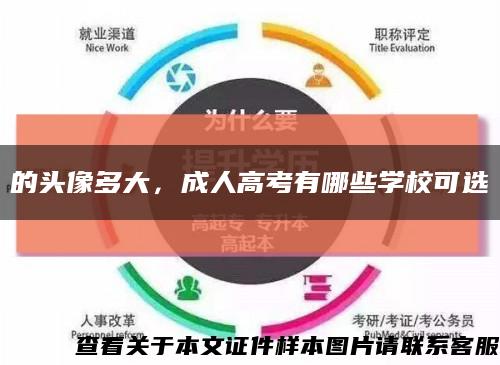 的头像多大，成人高考有哪些学校可选缩略图