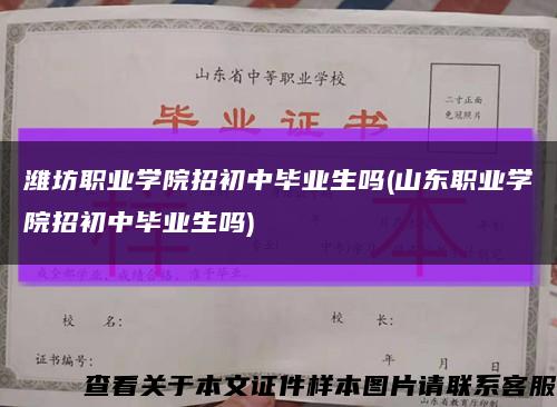 潍坊职业学院招初中毕业生吗(山东职业学院招初中毕业生吗)缩略图