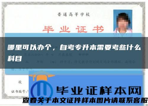 哪里可以办个，自考专升本需要考些什么科目缩略图