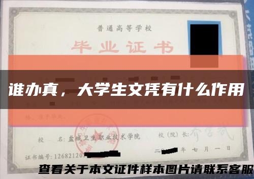 谁办真，大学生文凭有什么作用缩略图