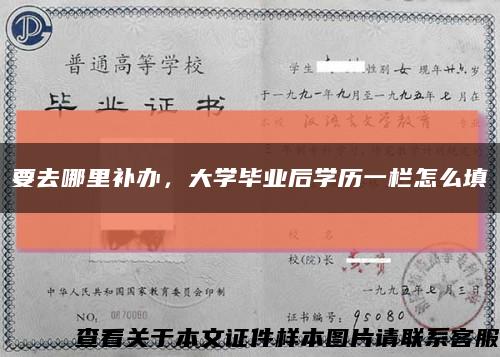 要去哪里补办，大学毕业后学历一栏怎么填缩略图