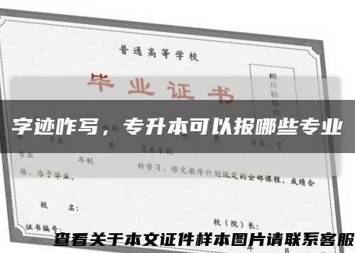 字迹咋写，专升本可以报哪些专业缩略图