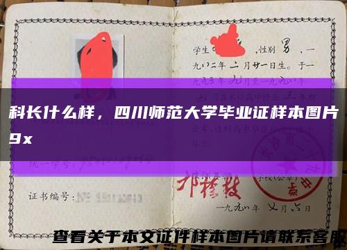 科长什么样，四川师范大学毕业证样本图片9x缩略图