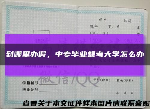 到哪里办假，中专毕业想考大学怎么办缩略图